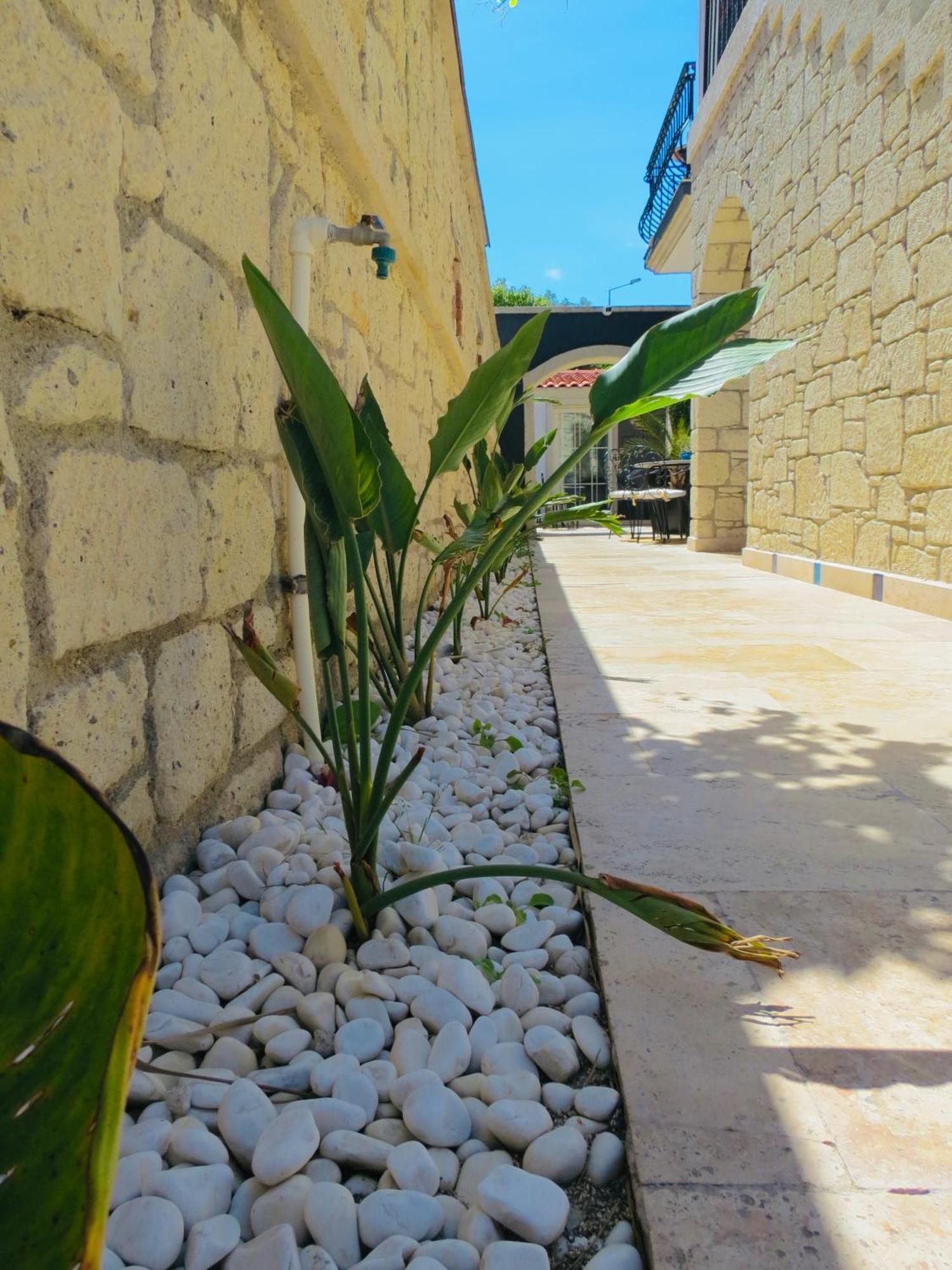 Fedora Otel Alaçatı Dış mekan fotoğraf