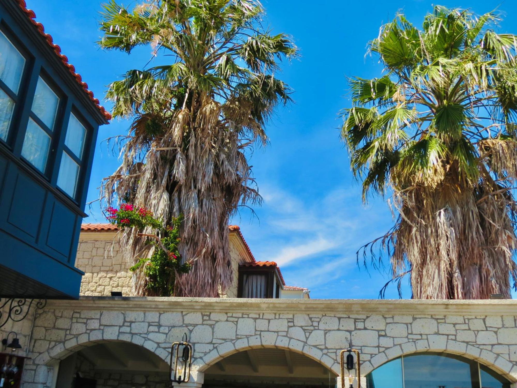 Fedora Otel Alaçatı Dış mekan fotoğraf